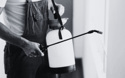 Pest Control Digital Marketing: How to Capture More Leads (Before Your Competitors Do)