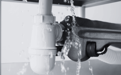How Online Reviews Help Plumbing Companies Book More Jobs