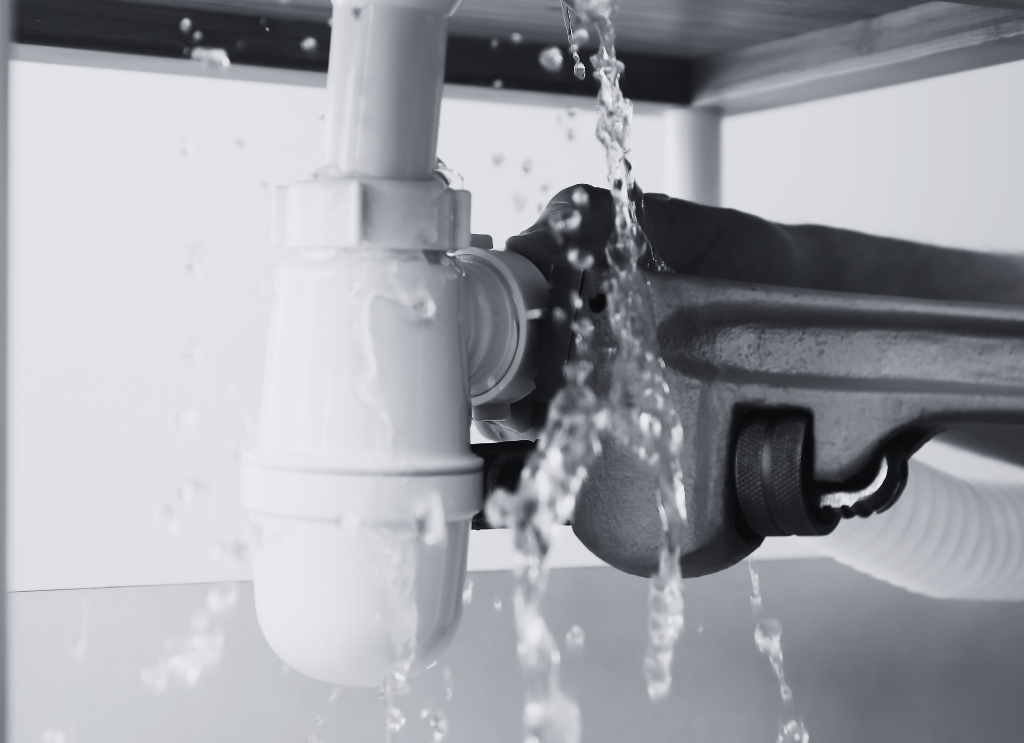 Plumbing Company Reviews : BuildPro Media